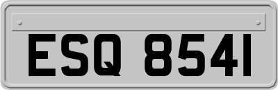 ESQ8541