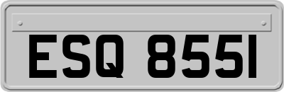 ESQ8551