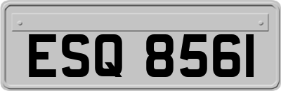 ESQ8561