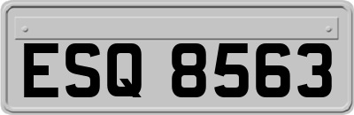 ESQ8563