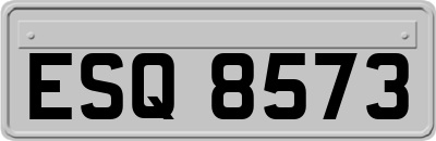 ESQ8573