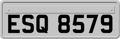 ESQ8579