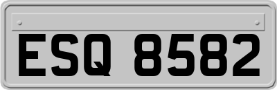 ESQ8582