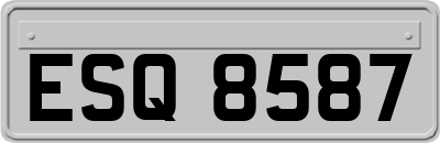ESQ8587