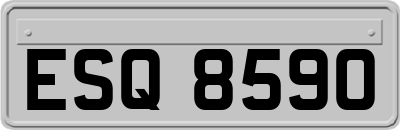 ESQ8590