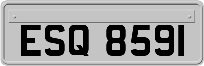 ESQ8591