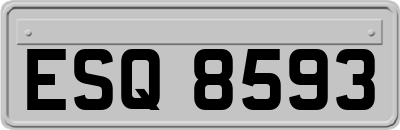 ESQ8593