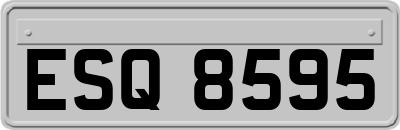 ESQ8595