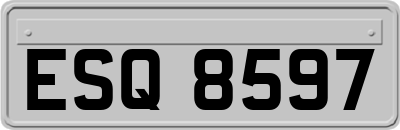 ESQ8597
