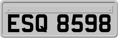 ESQ8598