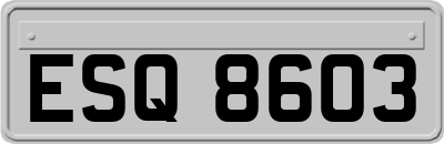 ESQ8603