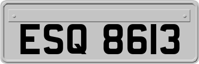 ESQ8613