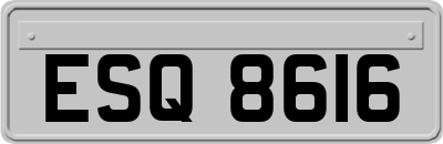 ESQ8616
