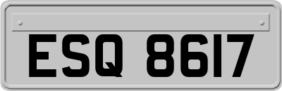 ESQ8617