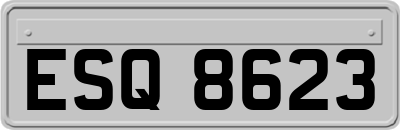ESQ8623