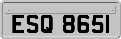 ESQ8651