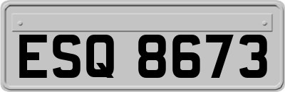 ESQ8673