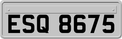 ESQ8675