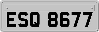 ESQ8677