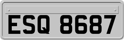 ESQ8687