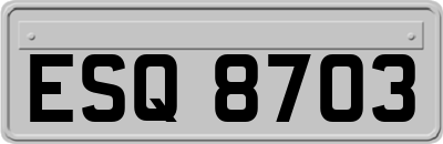 ESQ8703