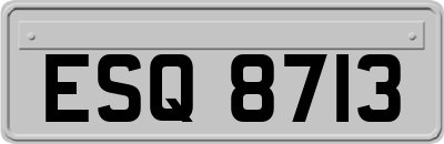 ESQ8713