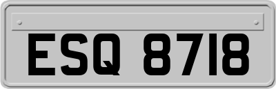 ESQ8718