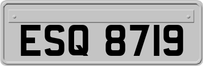 ESQ8719