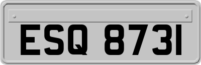 ESQ8731