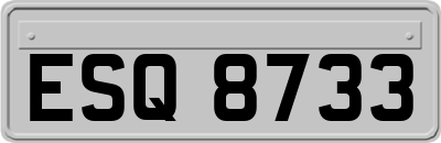 ESQ8733