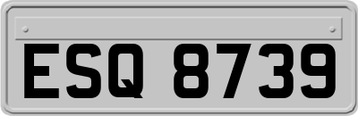 ESQ8739