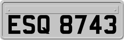 ESQ8743