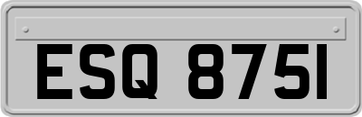 ESQ8751
