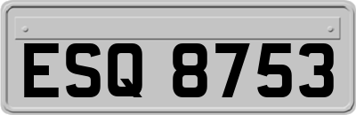 ESQ8753