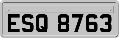 ESQ8763