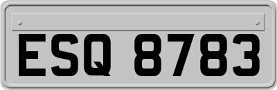 ESQ8783