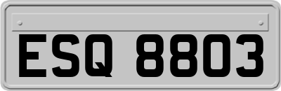 ESQ8803