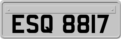 ESQ8817