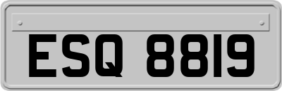 ESQ8819