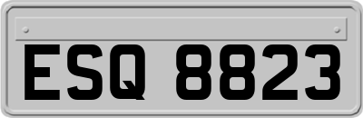 ESQ8823