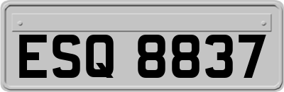 ESQ8837