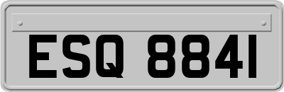 ESQ8841