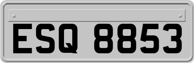 ESQ8853