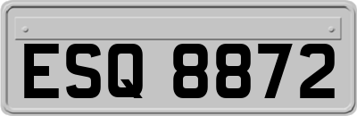 ESQ8872
