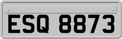 ESQ8873