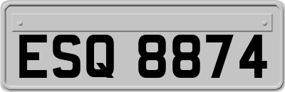 ESQ8874