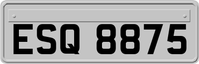 ESQ8875