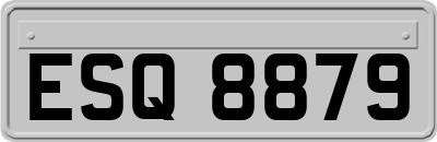 ESQ8879