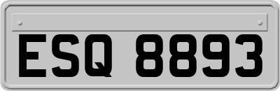 ESQ8893