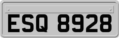 ESQ8928